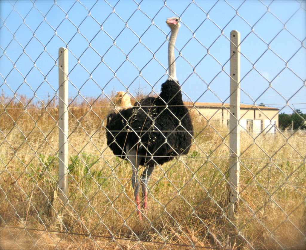You have to write badly before you can write well, writes Anne Lamott in 'Bird by Bird'.